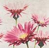 DECORATION PANELLO CREAMY TOUCH COMPOSITION FLOWER SIZE : 58,3/59,3 cm SEMIGLOSS CLASS.1 ( KPL.1 )K.J.OPOCZNO