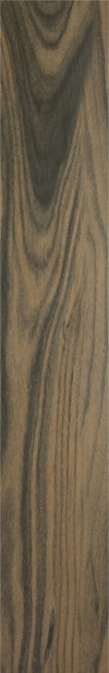 GRES PORCELAIN FLOOR TILES LEGEND BROWN GLAZE - MATT RECT.SIZE : 16/98,5 cm CLASS 1 ( PALL.28,50 M2 )K.J.PARADYŻ