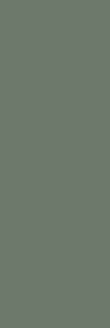 PŁYTKA ŚCIENNA NIGHTWISH GREEN MAT REKTYFIKOWANA 25/75 cm GAT.1 ( OP.1,30 M2 )