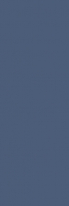 WALL TILES NIGHTWISH BLUE MAT RECT.SIZE: 25/75 cm CLASS 1 (PACK.1,30 M2 )